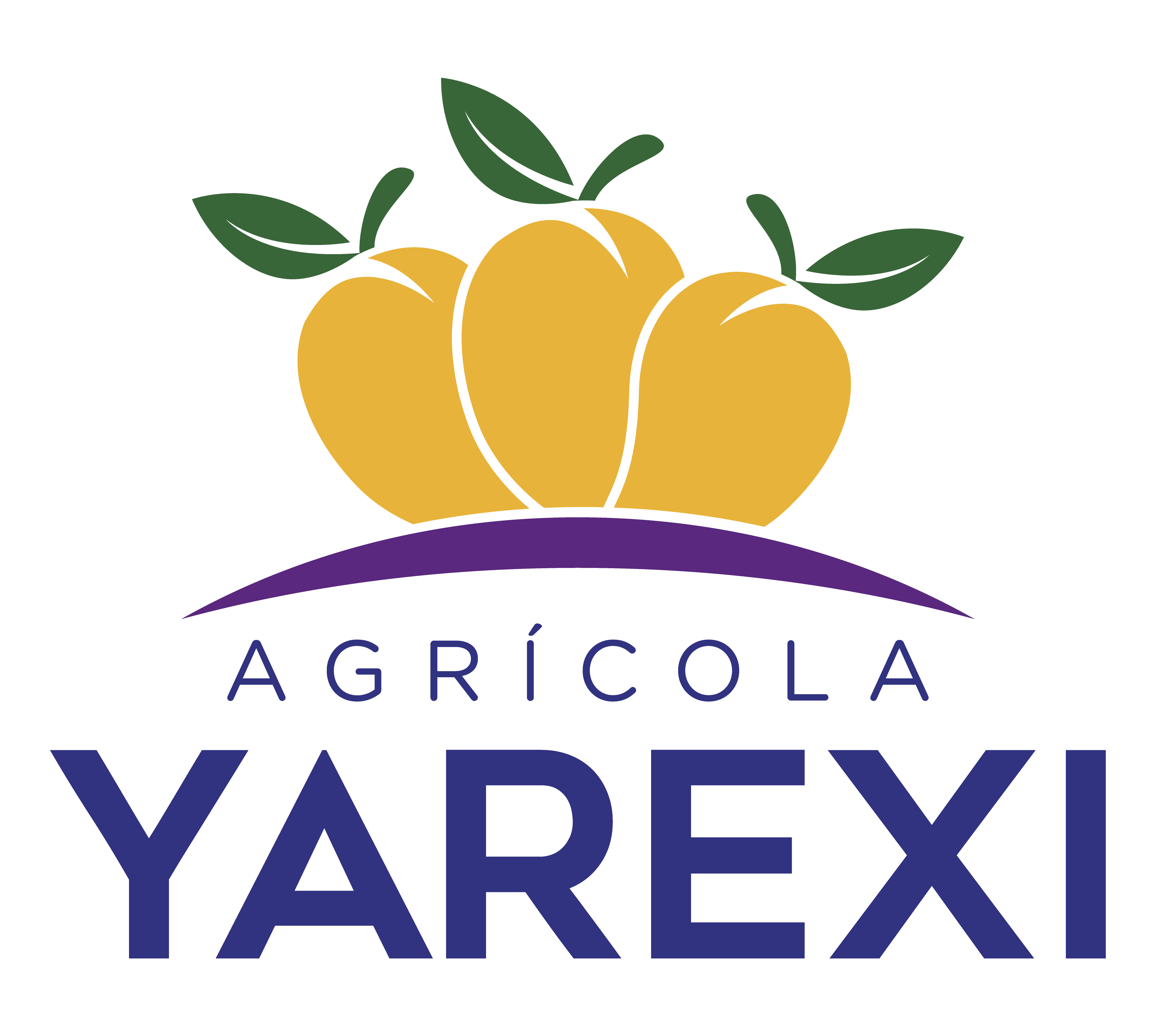 Productora Agrícola Yarexi logo