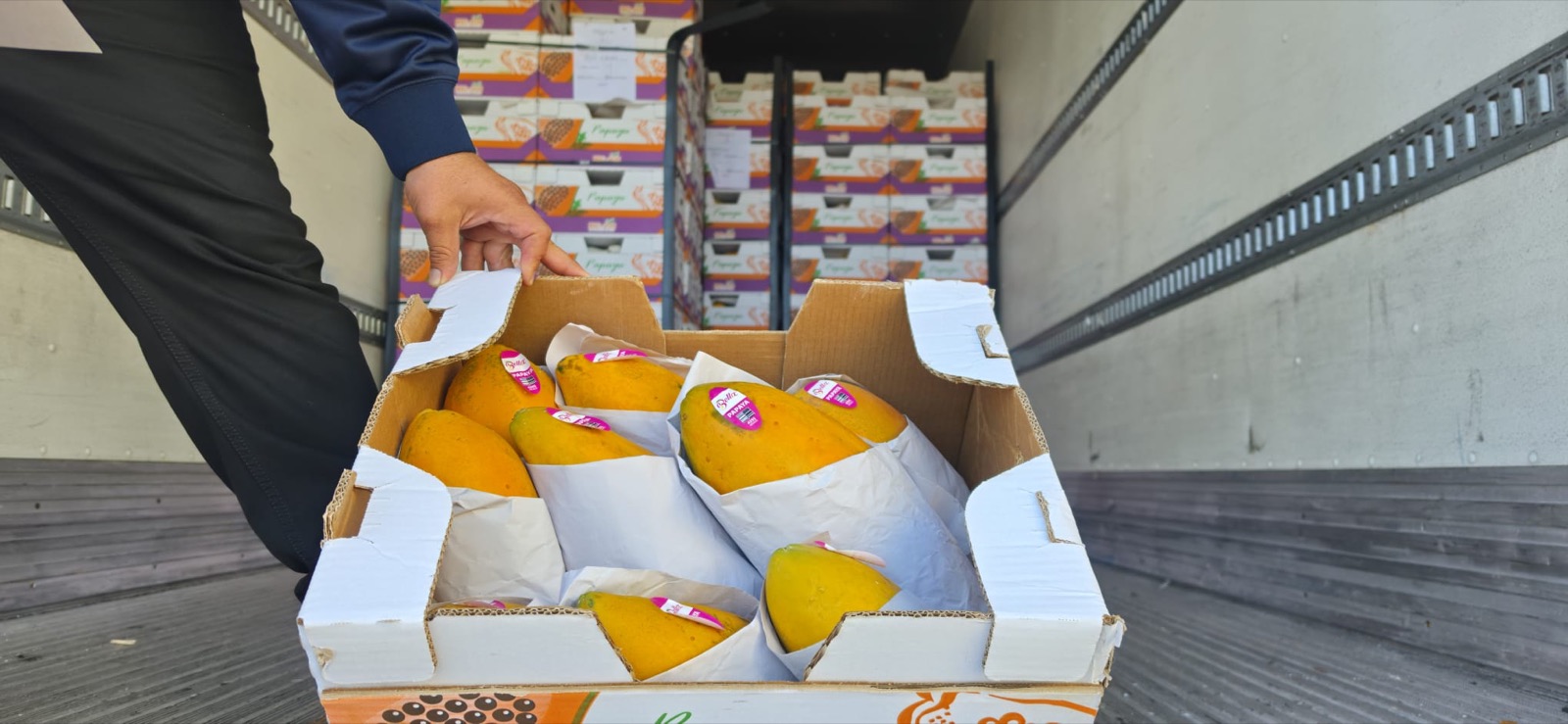 Fresh fruit packed for delivery