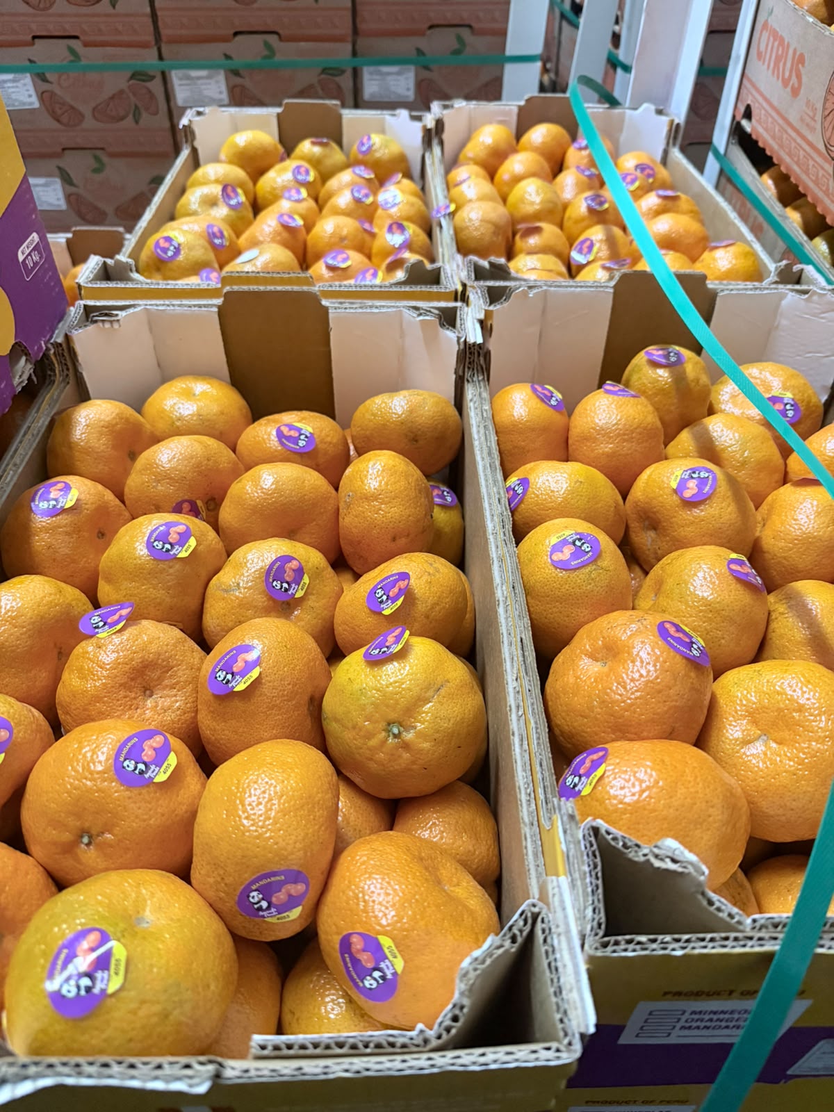Fresh citrus in produce boxes