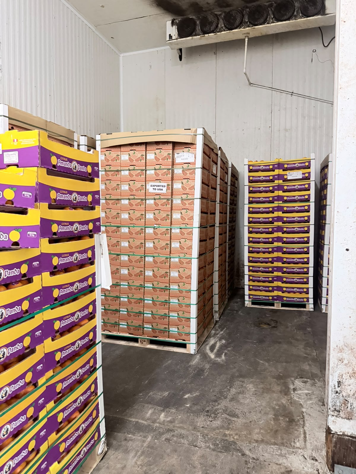 Fruit pallets at the warehouse